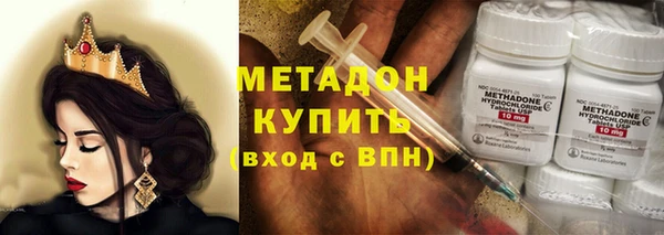 шишки Кодинск