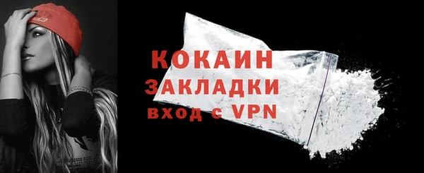 шишки Кодинск