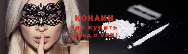 твердый Козловка