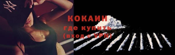 шишки Кодинск
