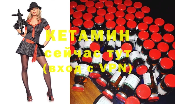 шишки Кодинск
