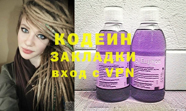шишки Кодинск