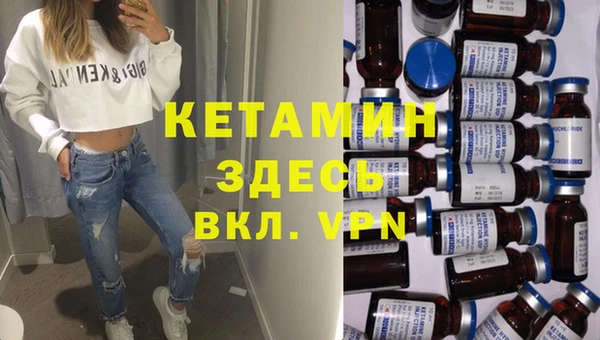 шишки Кодинск