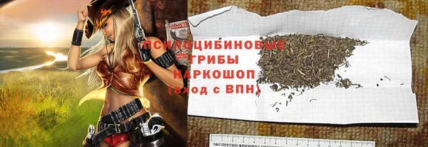 шишки Кодинск