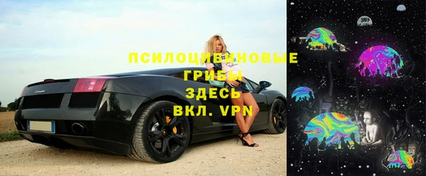 твердый Козловка