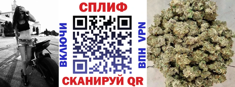 Каннабис Ganja  Купить где  Западная Двина 